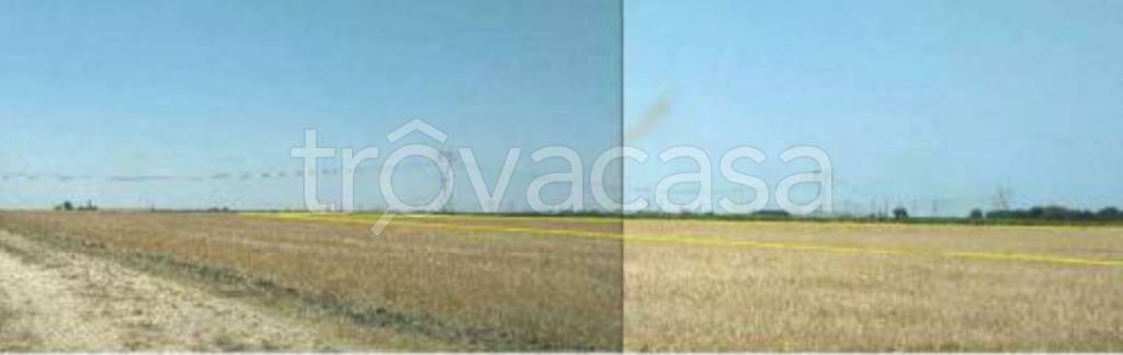 terreno agricolo in vendita a Brindisi in zona Tuturano