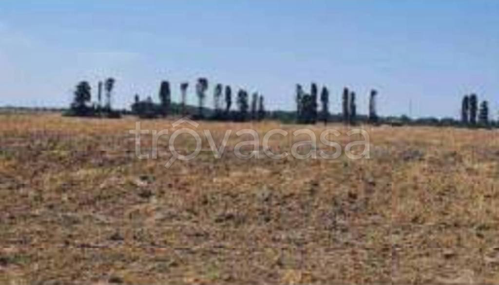 terreno agricolo in vendita a Brindisi in zona Tuturano