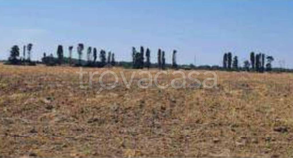 terreno agricolo in vendita a Brindisi in zona Tuturano