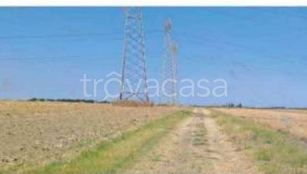 terreno agricolo in vendita a Brindisi in zona Tuturano