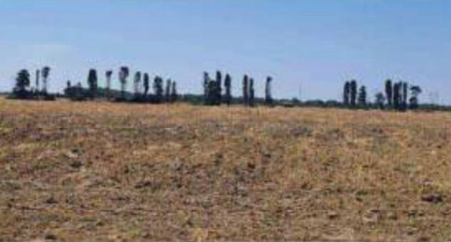 terreno agricolo in vendita a Brindisi in zona Tuturano