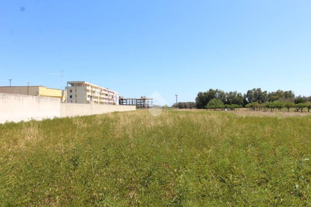 terreno agricolo in vendita a Brindisi in zona Tuturano