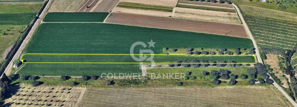 terreno agricolo in vendita a Brindisi in zona Sant'Elia