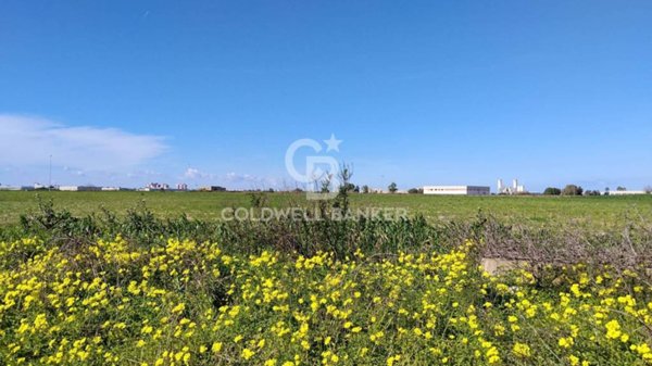 terreno agricolo in vendita a Brindisi