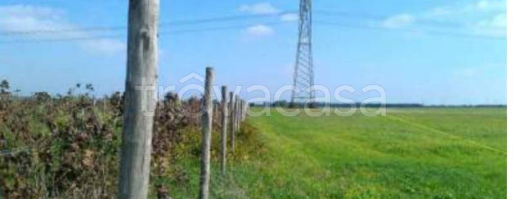 terreno agricolo in vendita a Brindisi in zona Tuturano
