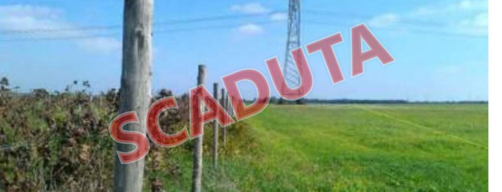 terreno agricolo in vendita a Brindisi in zona Paradiso