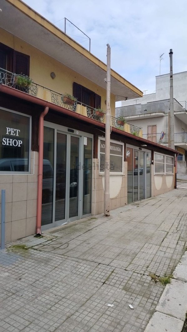 quadrivano in vendita a Brindisi in zona Sant'Angelo