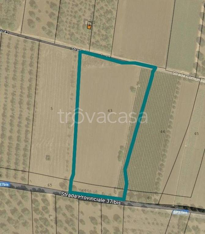 appartamento in vendita a Brindisi in zona Paradiso