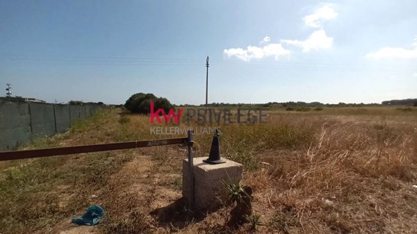 terreno agricolo in vendita a Brindisi in zona Paradiso