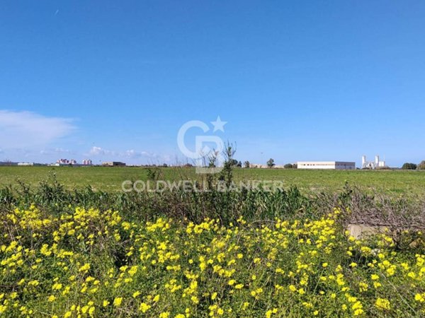 terreno agricolo in vendita a Brindisi in zona Perrino