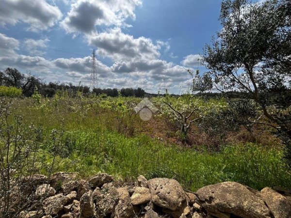 terreno agricolo in vendita a Brindisi in zona Tuturano