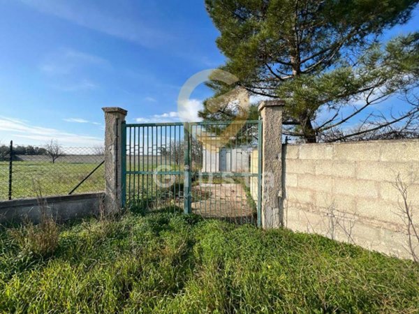 terreno agricolo in vendita a Brindisi