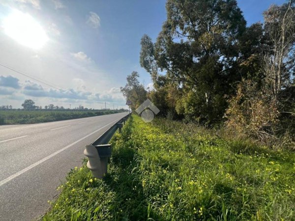 terreno agricolo in vendita a Brindisi