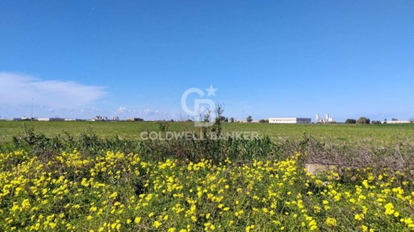 terreno agricolo in vendita a Brindisi