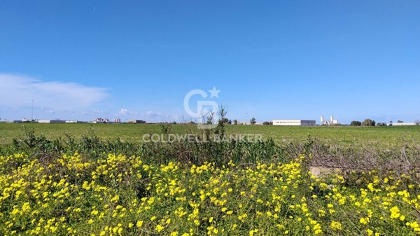 terreno agricolo in vendita a Brindisi