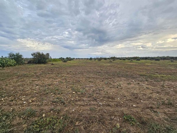 terreno agricolo in vendita a Brindisi in zona Sant'Elia