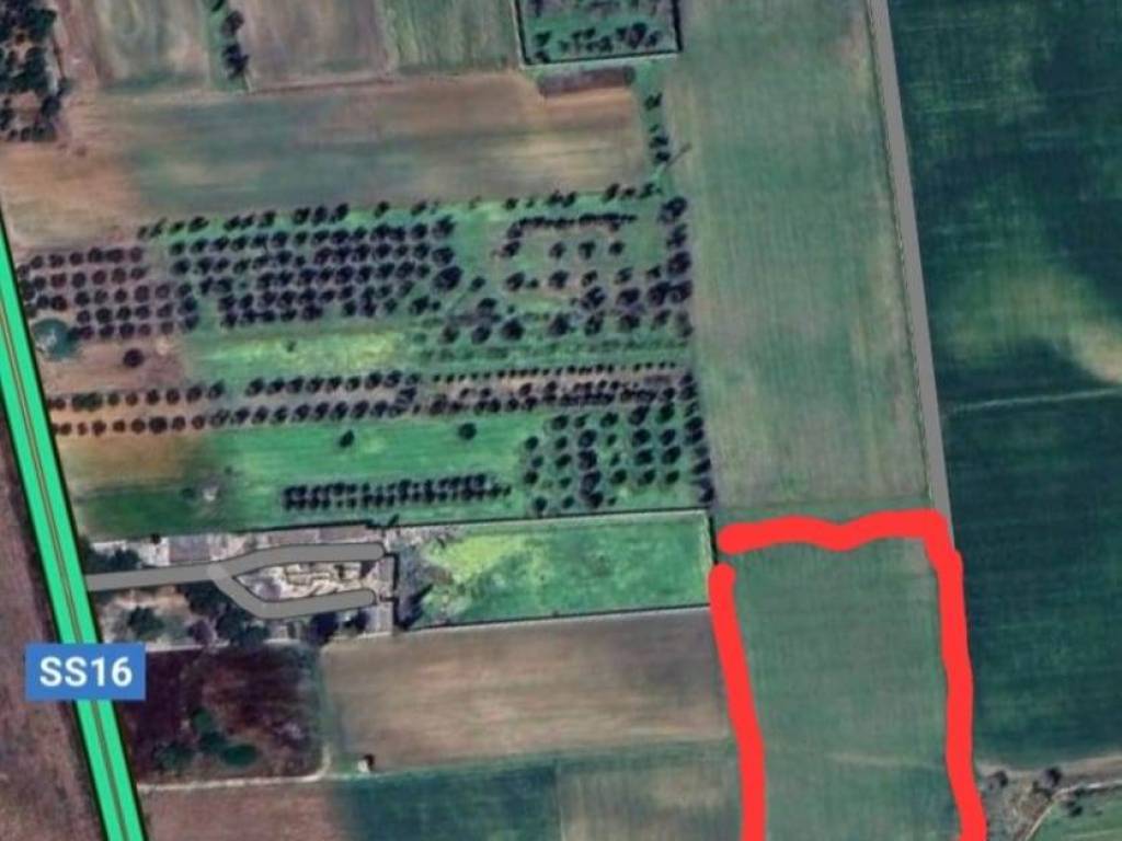 terreno agricolo in vendita a Brindisi in zona Paradiso