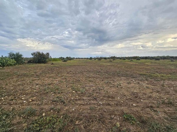 terreno agricolo in vendita a Brindisi in zona Paradiso