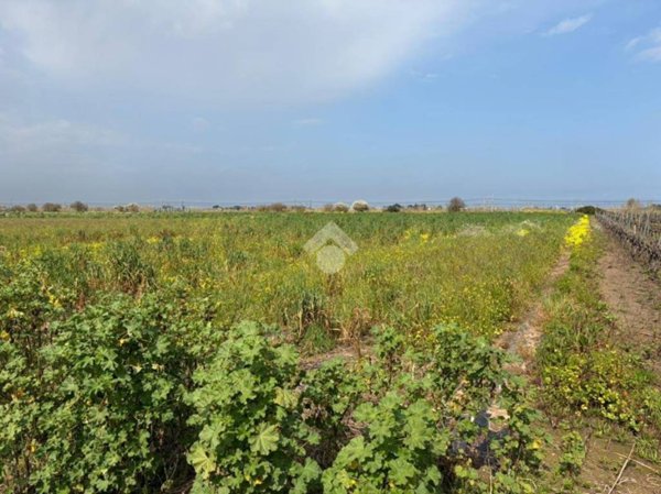 terreno agricolo in vendita a Brindisi in zona Paradiso
