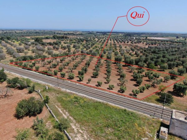 terreno agricolo in vendita a Brindisi