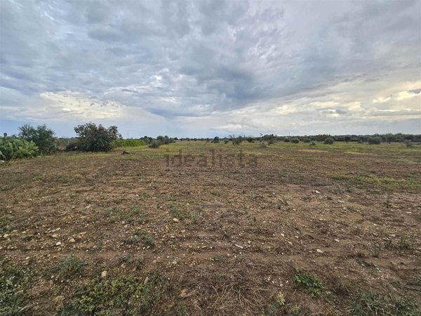 terreno agricolo in vendita a Brindisi in zona Paradiso