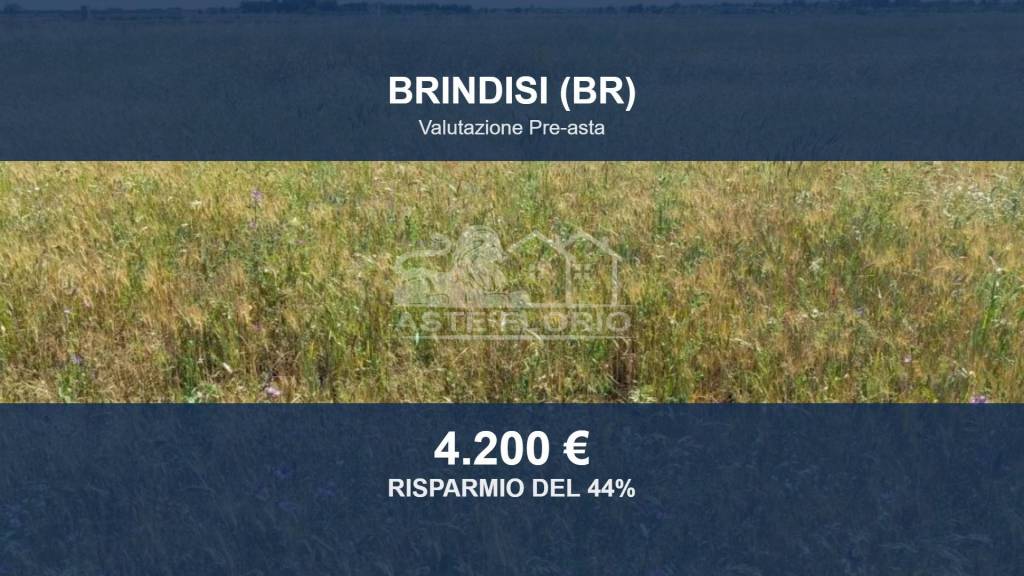 casale in vendita a Brindisi in zona Cappuccini