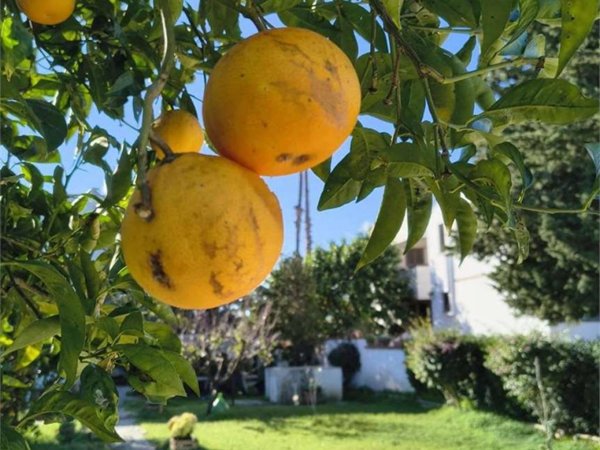 casa indipendente in vendita a Brindisi in zona Paradiso