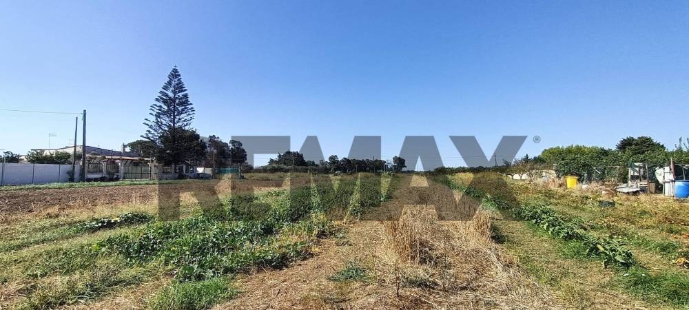 terreno agricolo in vendita a Brindisi