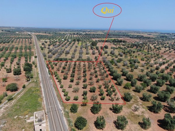 terreno in vendita a Brindisi
