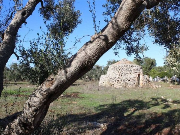 casa indipendente in vendita a Carovigno