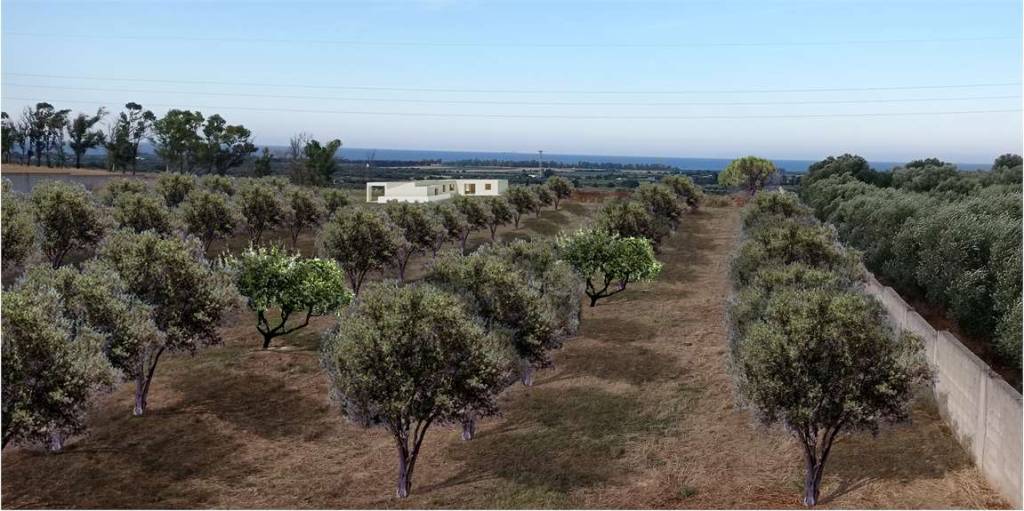 casa indipendente in vendita a Carovigno in zona Serranova