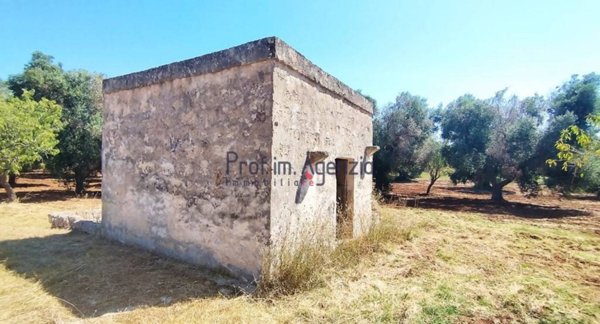 casa indipendente in vendita a Carovigno