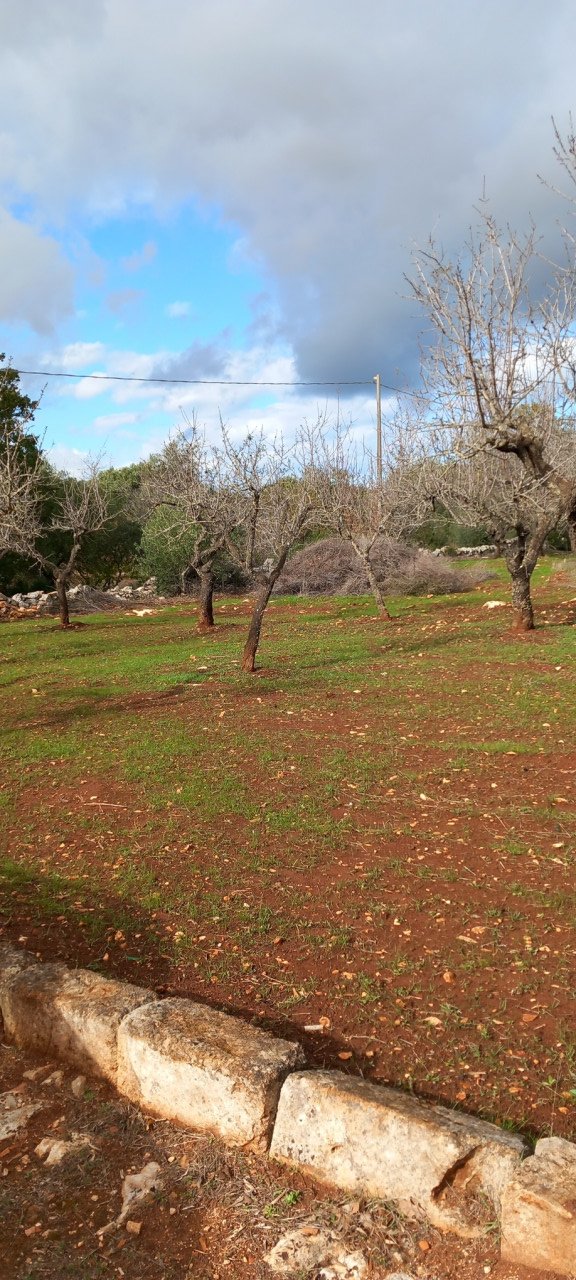 terreno edificabile in vendita a Carovigno