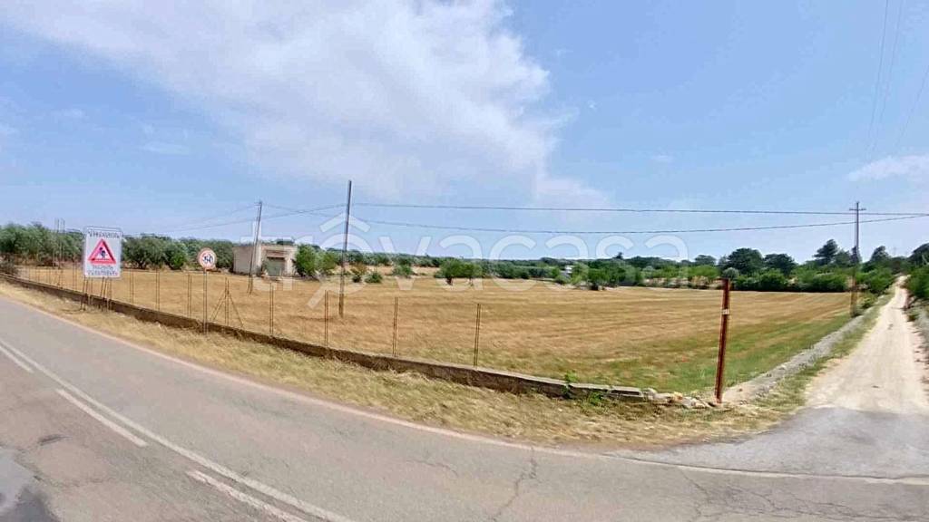 casa indipendente in vendita a Carovigno