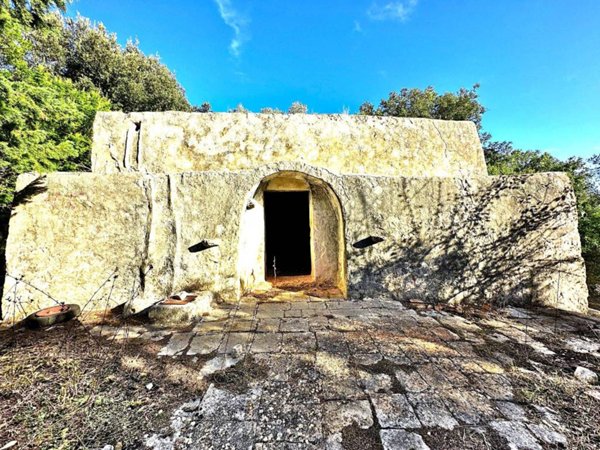 casa indipendente in vendita a Carovigno