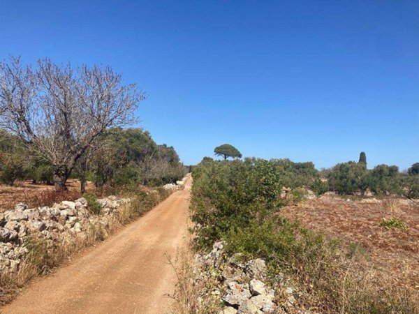 appartamento in vendita a Carovigno