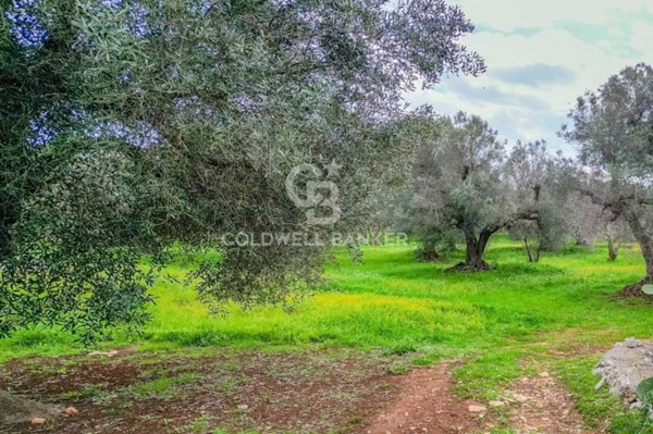 casa indipendente in vendita a Carovigno in zona Torre Santa Sabina