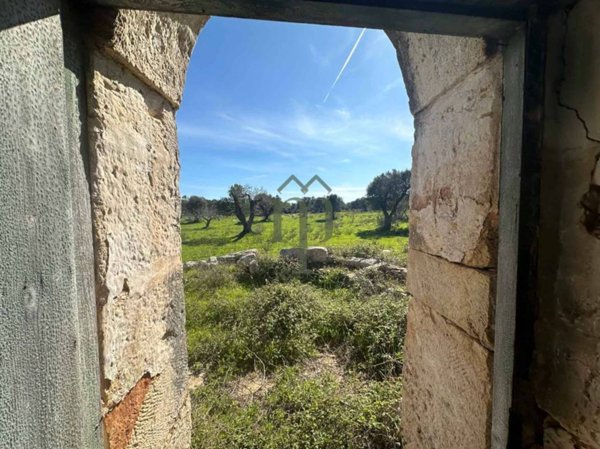 terreno agricolo in vendita a Carovigno