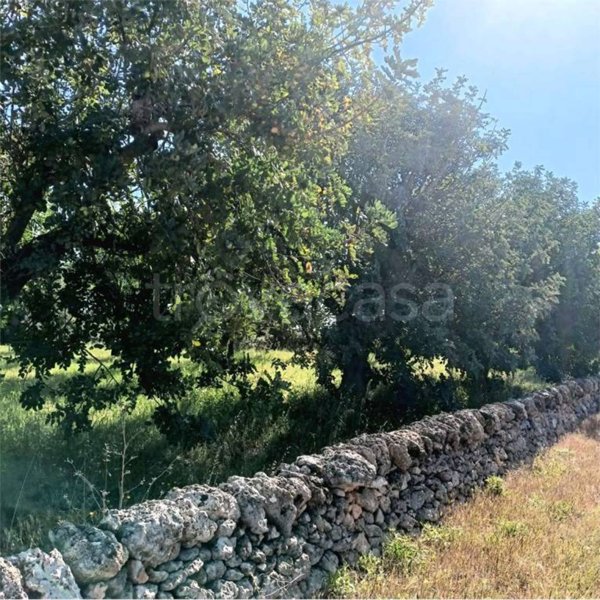 casa indipendente in vendita a Carovigno
