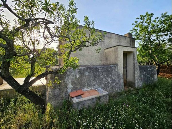casa indipendente in vendita a Carovigno