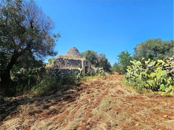 casa indipendente in vendita a Carovigno