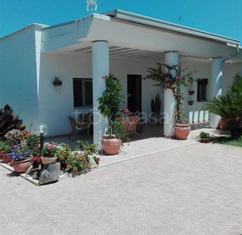 casa indipendente in vendita a Carovigno