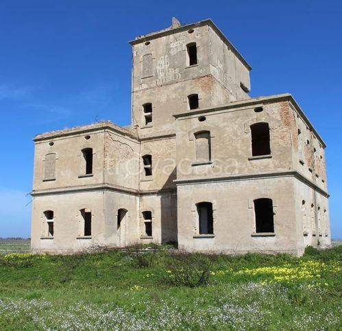 casa indipendente in vendita a Carovigno