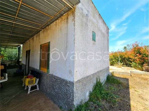 casa indipendente in vendita a Carovigno