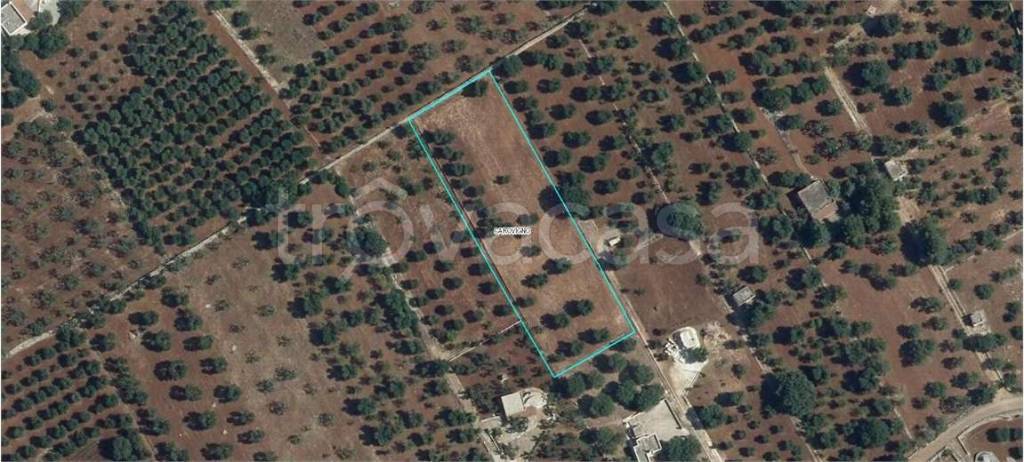 casa indipendente in vendita a Carovigno