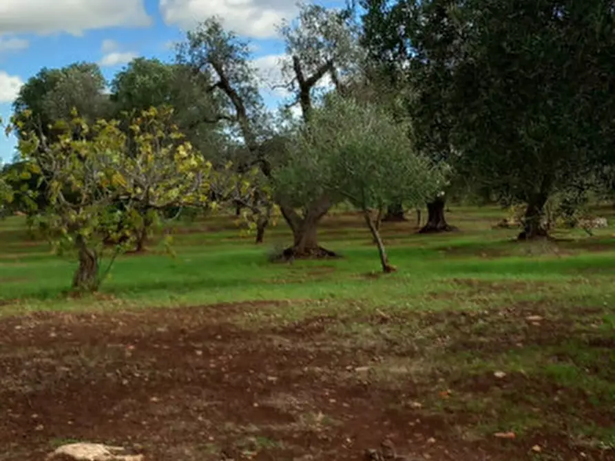 mansarda in vendita a Carovigno