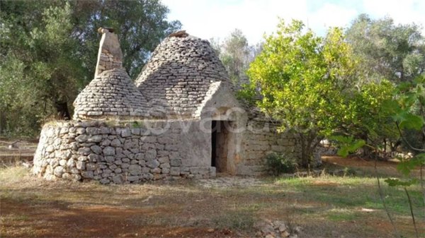 casa indipendente in vendita a Carovigno