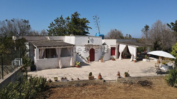 esavano in vendita a Carovigno