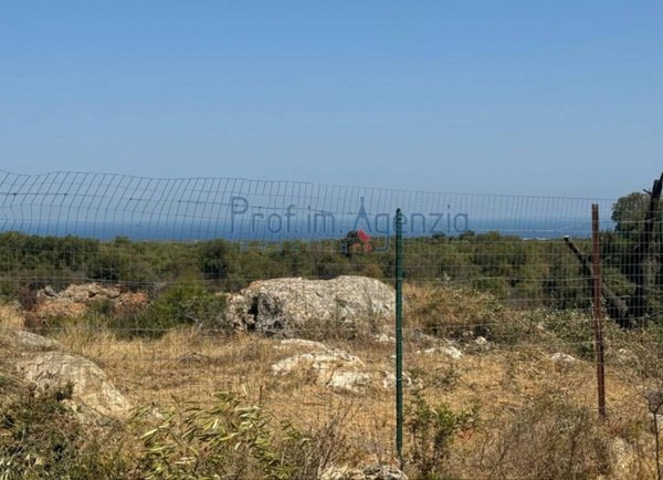 casa indipendente in vendita a Carovigno