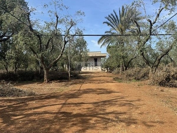 terreno edificabile in vendita a Carovigno